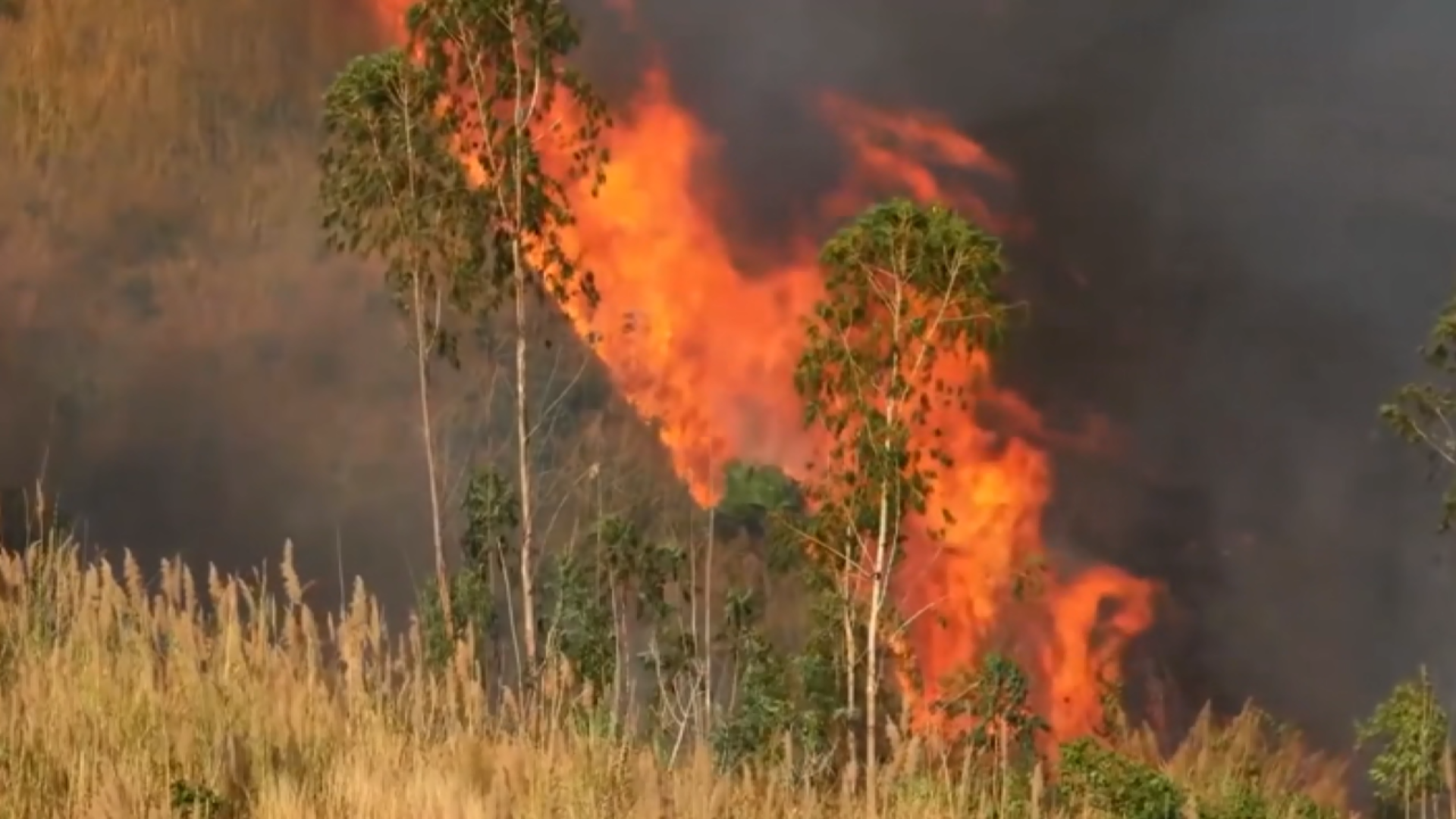 Se celebra hoy Día Mundial de la prevención contra incendios