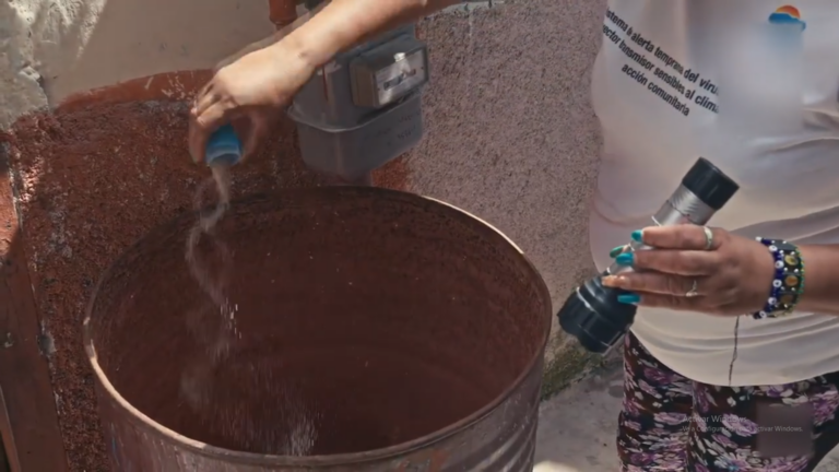 Se conmemora el Día Internacional contra el dengue                