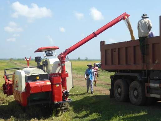 Firman acuerdo para entrega de arroz del proyecto «TB AGRI Conectando Vietnam con Cuba