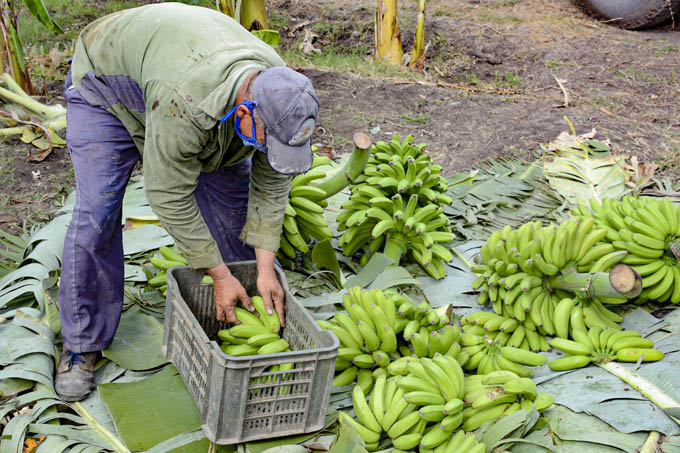 Evalúan transformaciones económicas y sociales en Granma