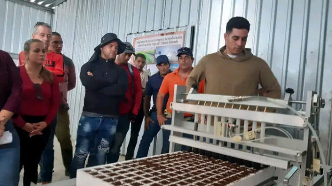 Capacitan en Granma a productores tabacaleros