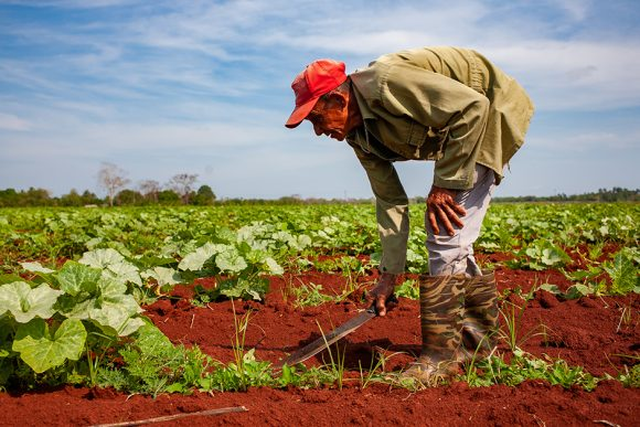 Mayor autonomía y posibilidades para las cooperativas agropecuarias del país